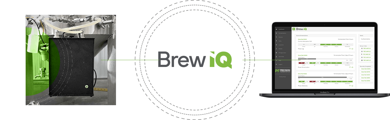brew-iq-process brew-iq-process